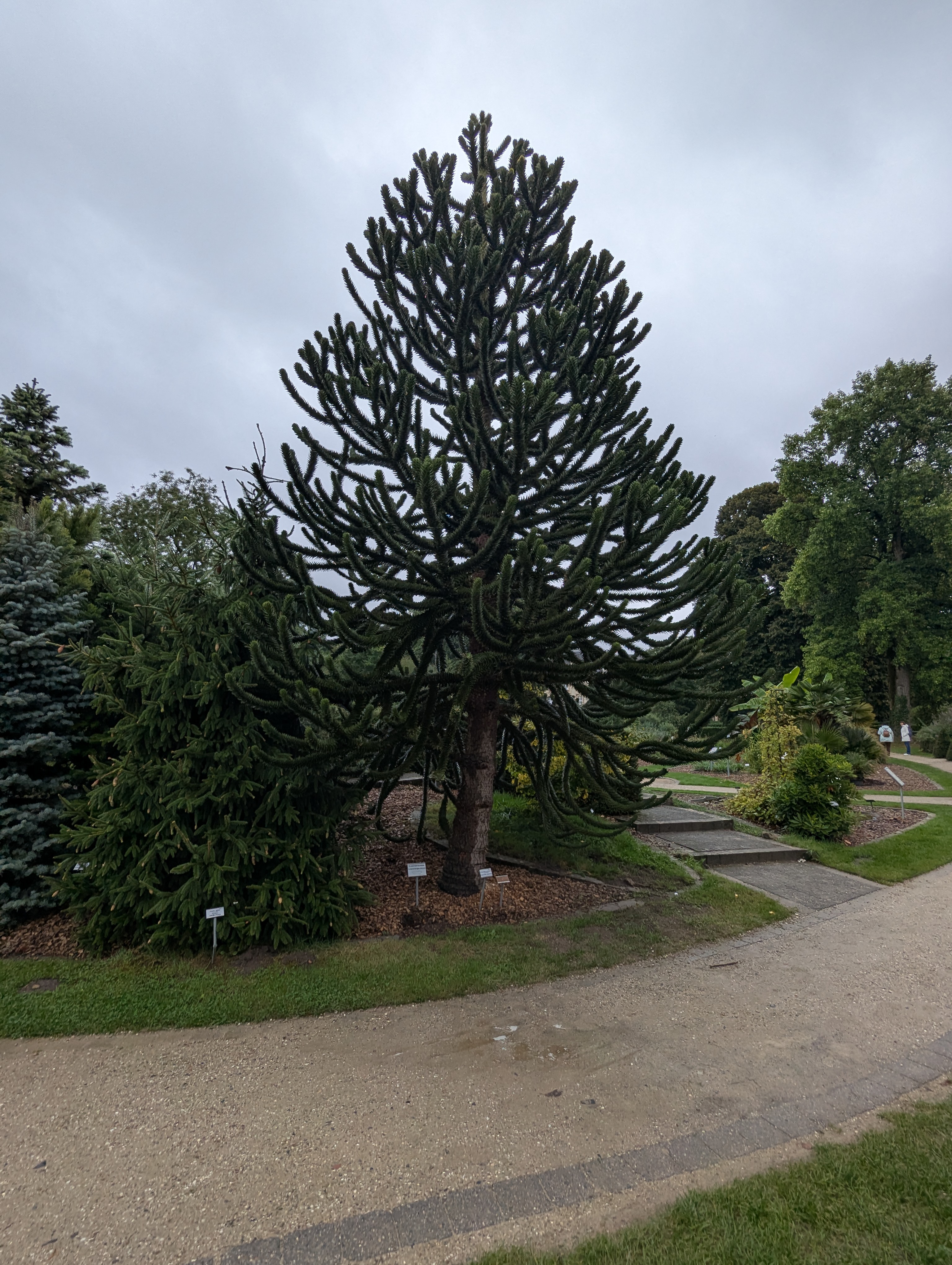Botonic Gardens, Muenster, Germany
